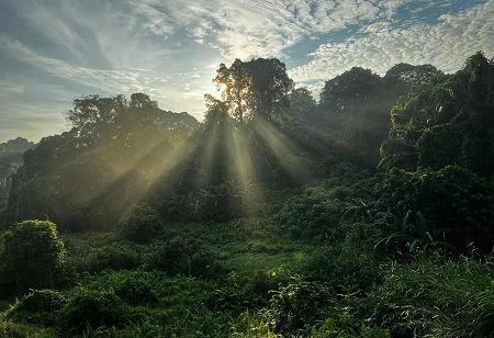 Singapore Seals Carbon Credit Deal with Philippines
